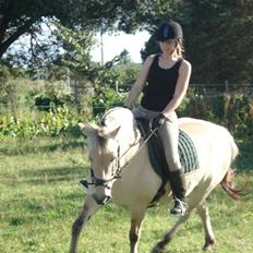 Fjordhest Musse *tidligere part*