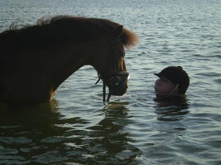 Anden særlig race Buster Larsen. (SOLGT) - Buster og Camilla bader 2009.. billede 1