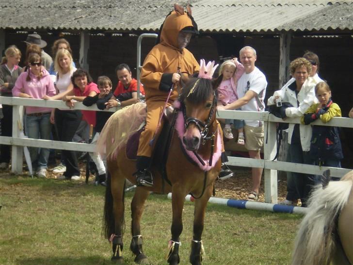 Anden særlig race Buster Larsen. (SOLGT) - Kostumespringning på Børnedyrskuet 2007.... billede 2