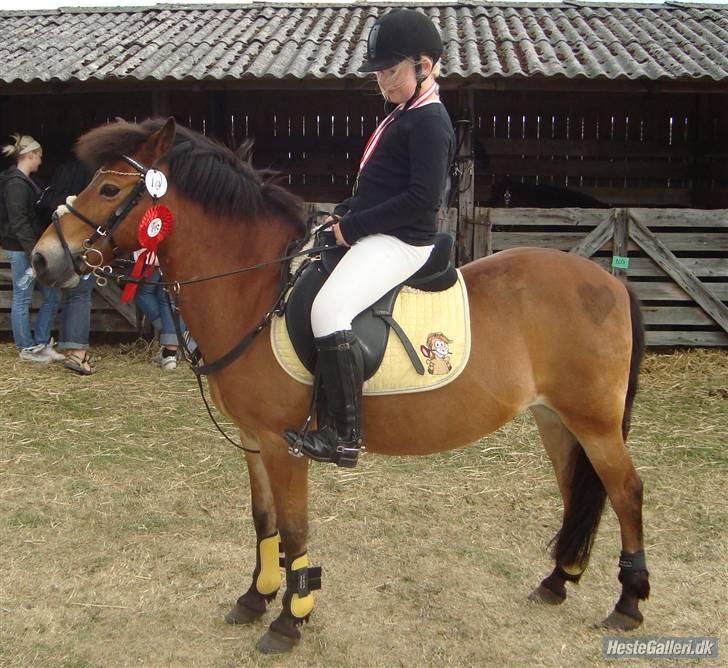 Anden særlig race Buster Larsen. (SOLGT) - Mega stolt af Buster... Vi vandt vores springklasse på Dyrskuet 2008. Taget af Sabina.. Tak. billede 11