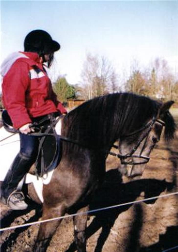 Anden særlig race Bella - Et GAMMELT billede af mig og bella :) tror bella er 4-5 år her .. min lille prinsesse .. billede 13