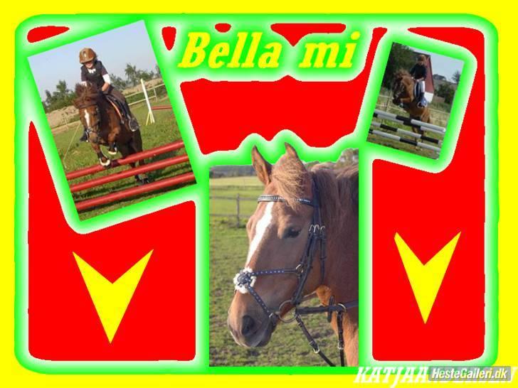 Anden særlig race » Bella Mi | SOLGT - velkommen til vores profil jeg svare gerne på spørsmålog vis i har noget at spøge om :) ;) billede 1