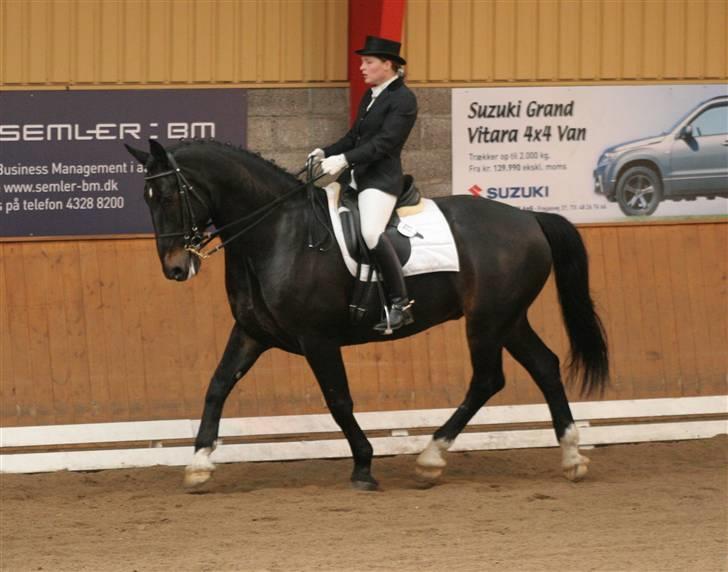 Oldenborg Max af Østerholm (RIP) - Stævne i Hillerød foråret 2007 - MB1 dressur billede 3