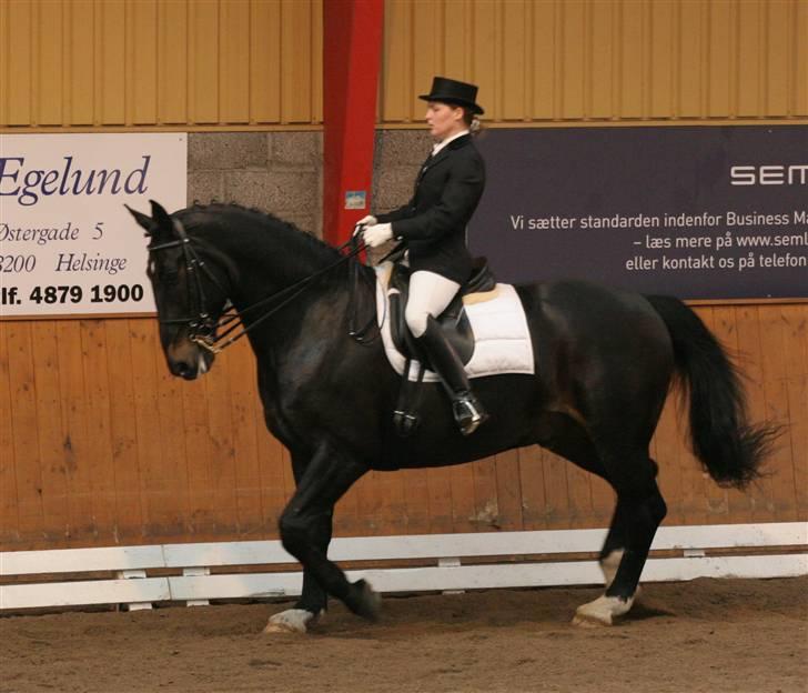 Oldenborg Max af Østerholm (RIP) - Stævne i Hillerød foråret 2007 - MB1 dressur billede 4