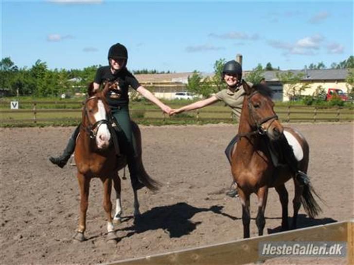 Anden særlig race Mc. Værdi <3 ! †R.I.P† - friends for ever <3 billede 3