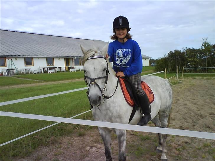 Anden særlig race Emil - vi har lige redet så nu skal der tages billeder! billede 19