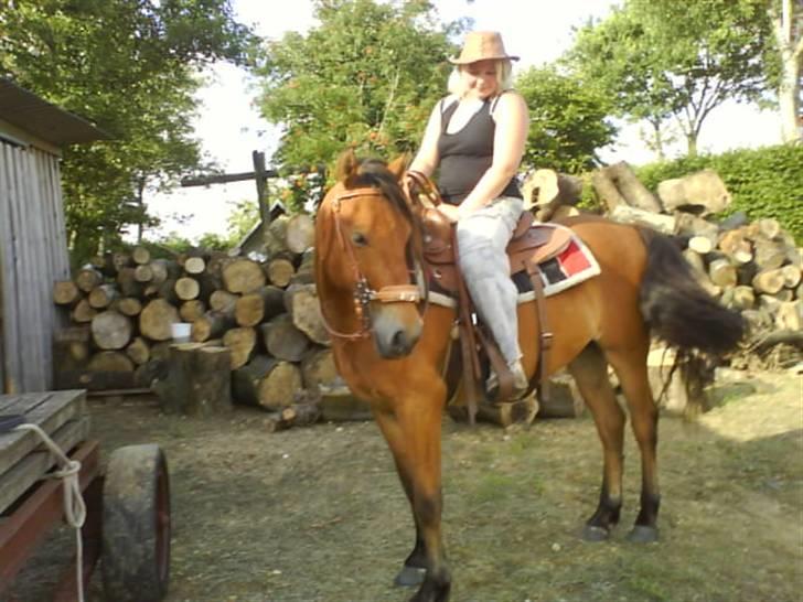 Anden særlig race breezer - min dejlige lille breezer, på  2½år nu.. billede 4