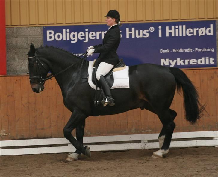 Oldenborg Max af Østerholm (RIP) - Stævne i Hillerød foråret 2007 - LA5 dressur fik en 5. plads billede 7