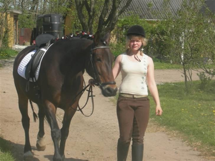 Oldenborg Cirkeline *Solgt* billede 10