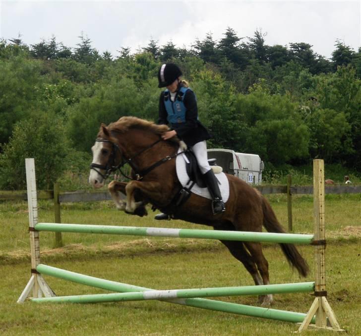 Anden særlig race Jack - I Tyholm her over lodret på opvarmining billede 20