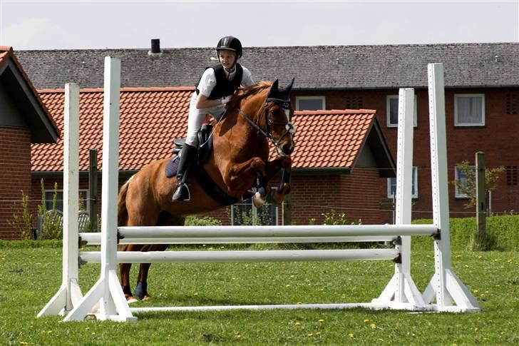 Anden særlig race Lukas - et skøøønt billede ( igen  hehe XD billede 10