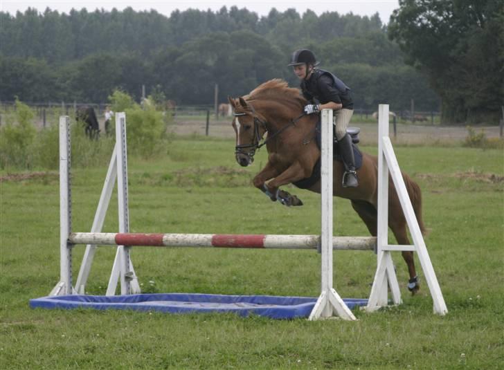 Anden særlig race Lukas - uhuuu... vores værste forhindring  *VANDGRAVEN* hahaha billede 11