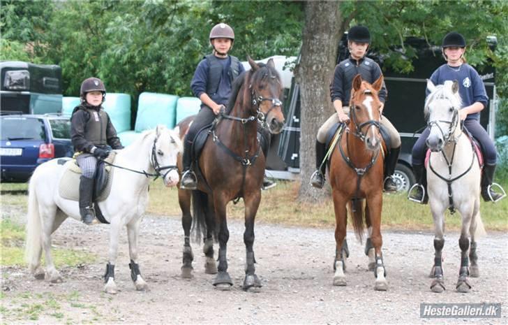 Irsk Sportspony Nancy † R.I.P 11/1-10 † - Os 4 - Rikke+Viggo - Mig+Nancy - Christoffer+Karóla - Lonny+Dulle billede 7