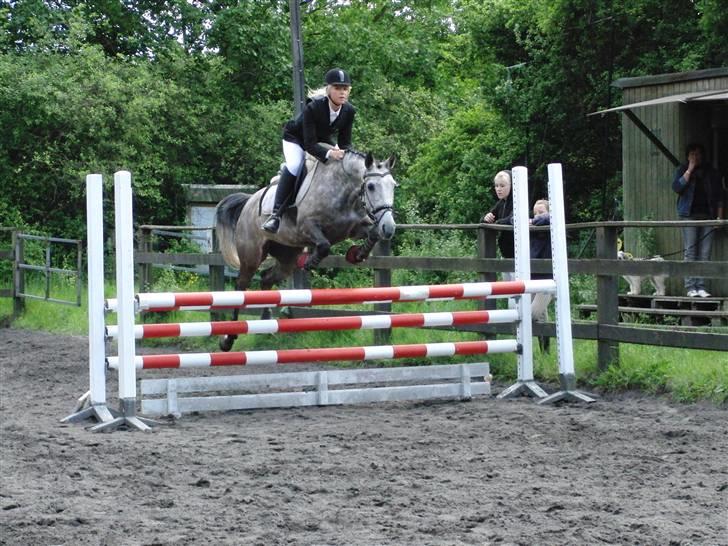 Tysk Sportspony Vindeholms Safir - SOLGT - LA dygtig pony :D billede 18