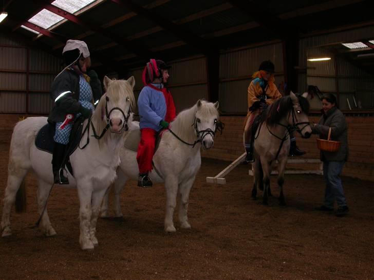 Welsh Pony (sec B) Møllegårdens Gisette - Første plads i kostume springning:) billede 2