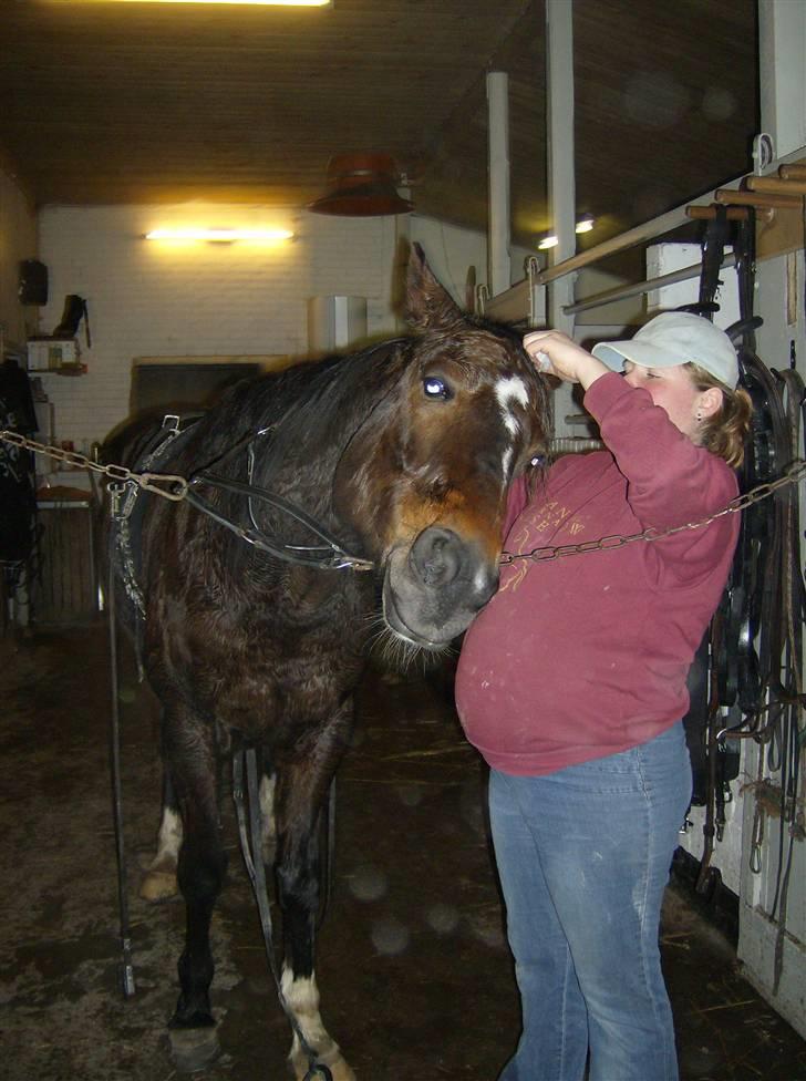 Traver Morassi (S) *Bortgivet til min veninde Karina* - Når man skal løbe trav-løb, skal man ha vat i ørerne.... Det er herren ikke helt tilfreds med! billede 2