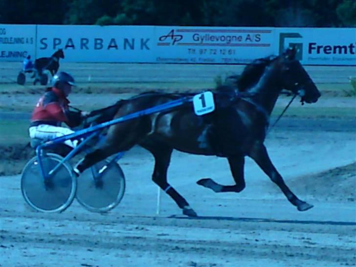 Traver Morassi (S) *Bortgivet til min veninde Karina* - Lækre dreng!! billede 6