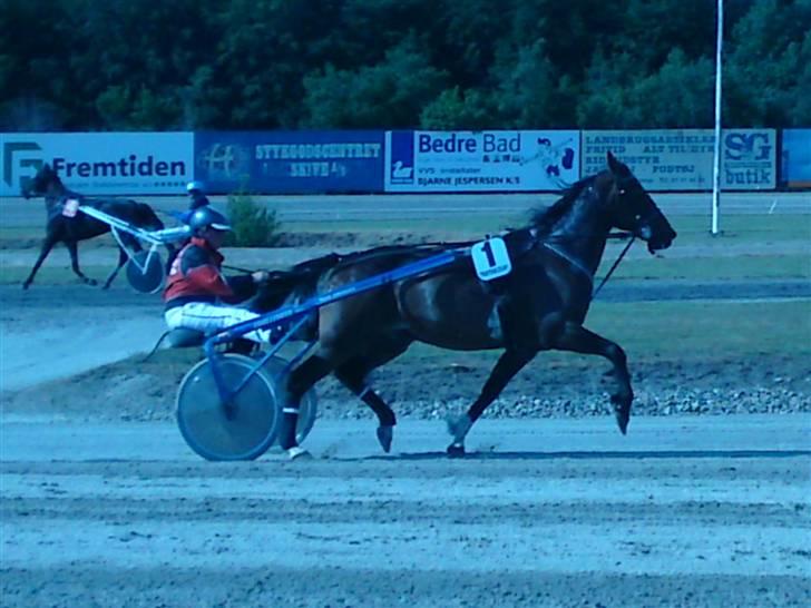 Traver Morassi (S) *Bortgivet til min veninde Karina* - Den smukke og mig i prøveløb i Skive!! billede 8