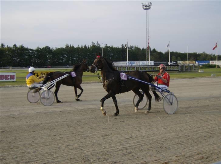 Traver Morassi (S) *Bortgivet til min veninde Karina* - Ny kusk.. Her blev han anden, de er lige ved at præcentere, og afkantre.. billede 9