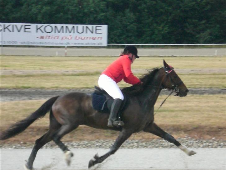 Traver Morassi (S) *Bortgivet til min veninde Karina* - Og så sku det da prøves med Monté... billede 10