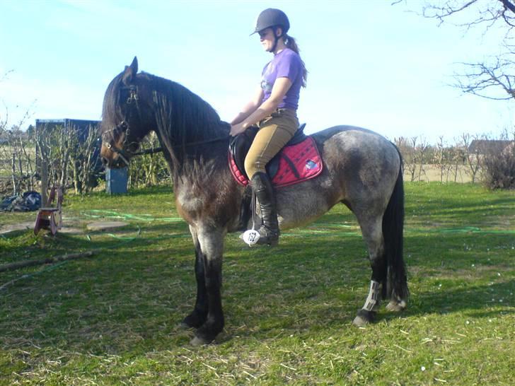 Connemara Molly Malone **R.I.P**:'( - Smukke Vildhest:D billede 7