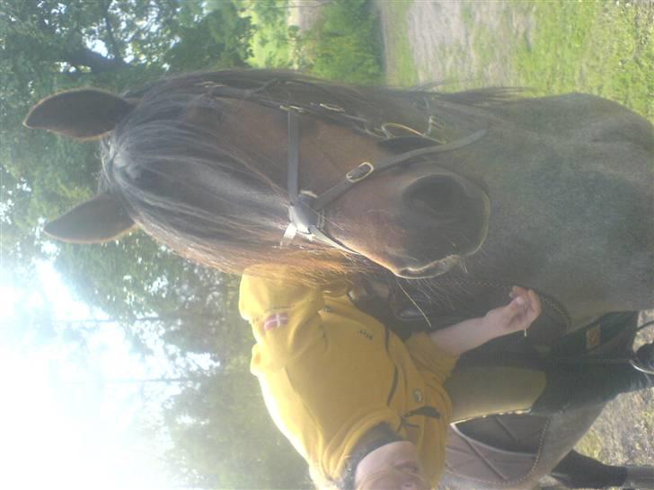 Connemara Molly Malone **R.I.P**:'( - Er man lige fotogen?? - tror jeg hørte en pose gulerødder løbe den vej:D billede 8