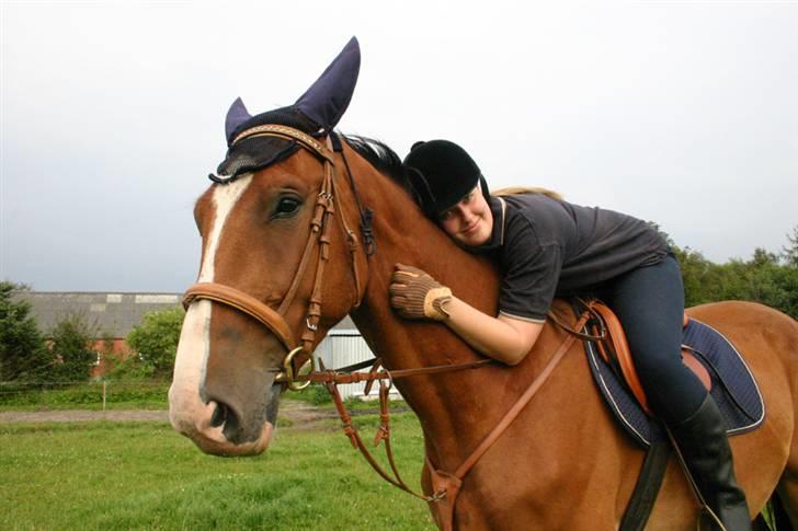 Dansk Varmblod Chievo - Chievo og mig billede 4