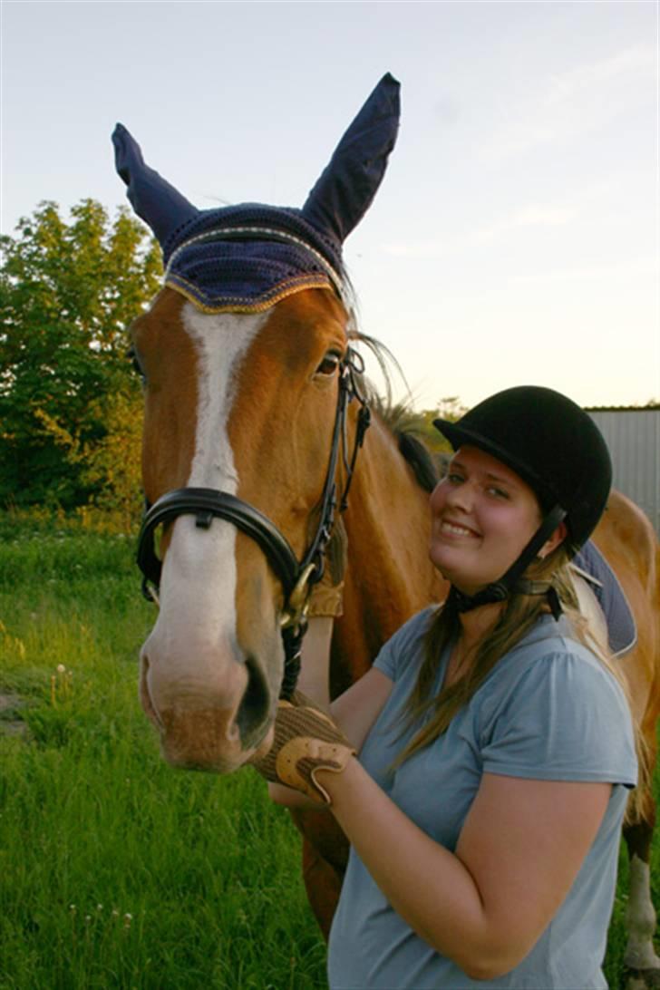 Dansk Varmblod Chievo - Chievo og mig efter en ridetur billede 12