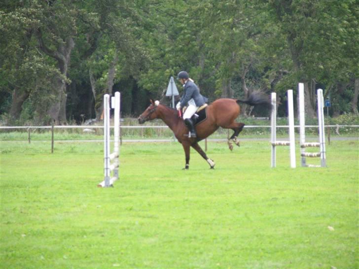 Trakehner Florentine SOLGT - Florentine begynderspring Dronninglund 26/08-07 billede 20