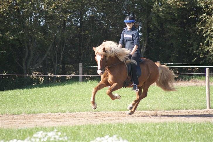 Islænder Pá fra Brundt - Pá og jeg til hekla stævne i Frigg - galop :) 2009 billede 8