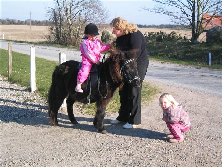 Shetlænder Belle RIP 13/12-10 - Så kom Malou på "hesten" og er klar til en tur op på ridebanen billede 4