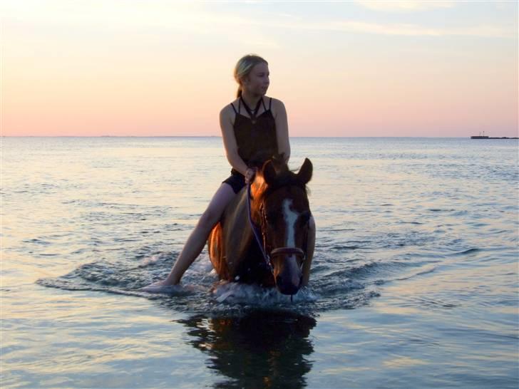 New Forest Oudelands Turbo - Cristina og Quick bader.. :) Foto MF billede 9