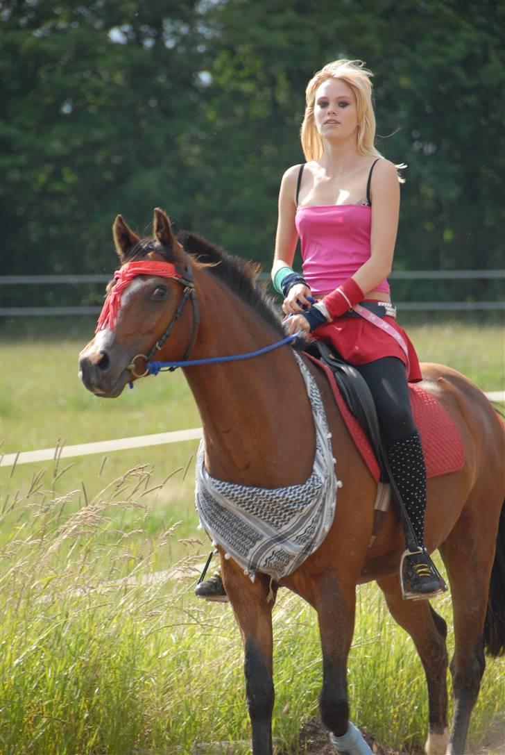 New Forest Oudelands Turbo - Udklædnings konkurrence, ridelejr. Foto: Mikkel Urup billede 10