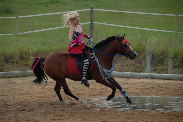 New Forest Oudelands Turbo - Udklædnings konkurrence, ridelejr. Foto: Mikkel Urup billede 11