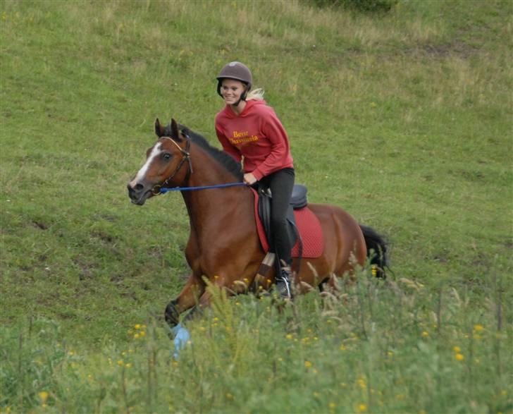 New Forest Oudelands Turbo - Ridelejren 2008 Foto: Mikkel Urup billede 17