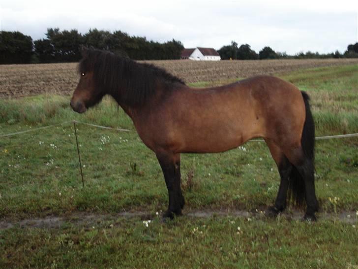 Islænder bylting - godt billede af bygning bare ærgerligt det er så mørkt ?? :P billede 14