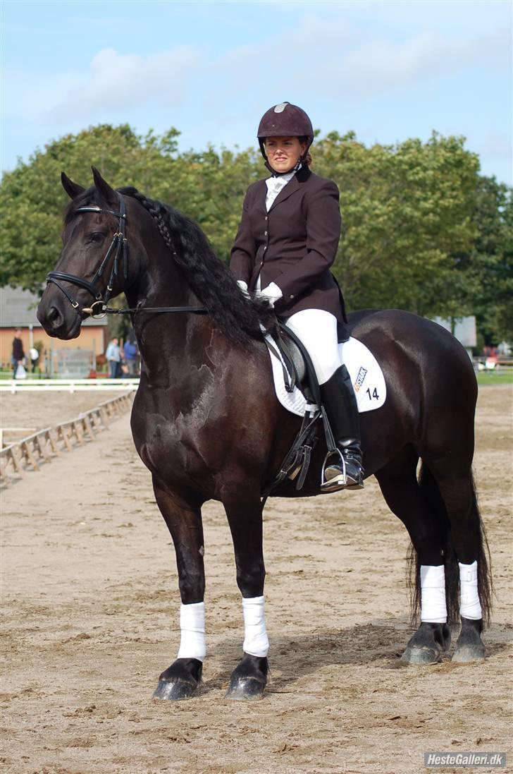 Frieser Maike Rozalien J. - Store Hestedag 2008 billede 16