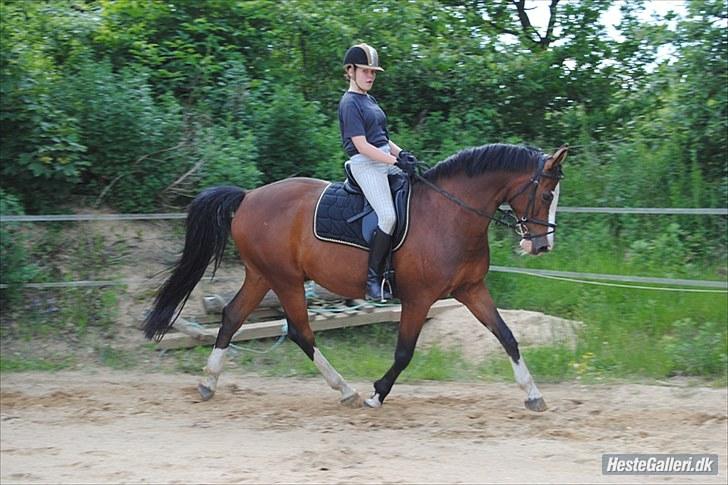 Dansk Varmblod Rigolo. - Mig og Rigolo da vi begge var igang med genoptrænning.           2010(maj)        Foto: min mor med mit kamera. billede 4