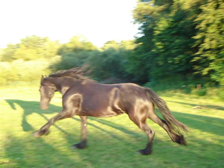 Frieser Jessie - Så er der mad :) !!! billede 4