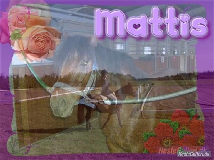 DSP Mattis - 1# Velkommen til Mattis´ profil. <33 ¤Han er dejliq¤<33 billede 1