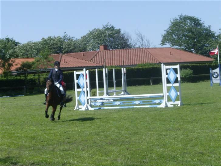 DSP Mattis - 2# LD spring for første gang ikk hjemme på rideskolen men i nordthy.. billede 2