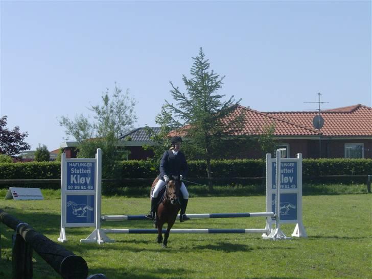 DSP Mattis - 3# Det ka´ godt gå godt over et spring... billede 3