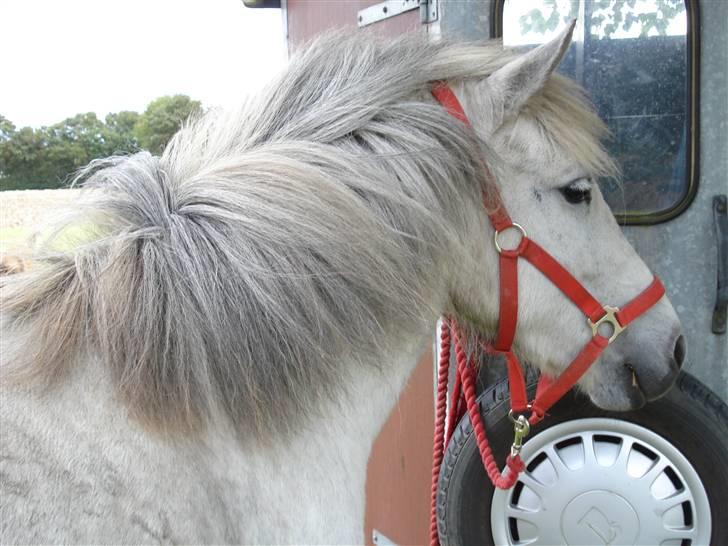 Islænder embla f. Lundegaard - haha prøv og se hendes man ?? ;D billede 8