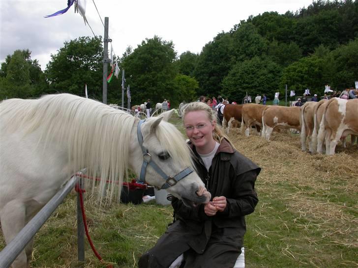 Welsh Pony (sec B) Møllegårdens Gisette - Fra kåring , her ses Gisette og Gerhild, fra Østrig :)  billede 16