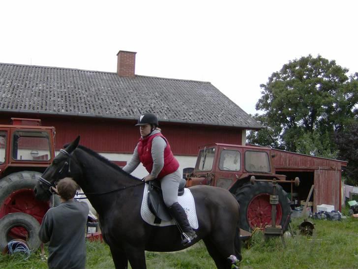 Oldenborg Diosa af stensbjerg - Første gang jeg rider på hende. 01-09-07 billede 12