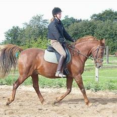 Anden særlig race Maxime de Chazelle* Død*