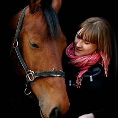 Anden særlig race Elton