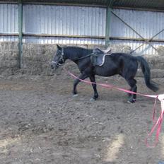 Traver Ekstra Nielsminde R.I.P