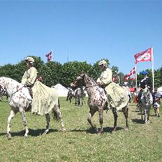 Knabstrupper Grim II Ætsted