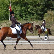 DSP Lanciano Kærlund A-PONY